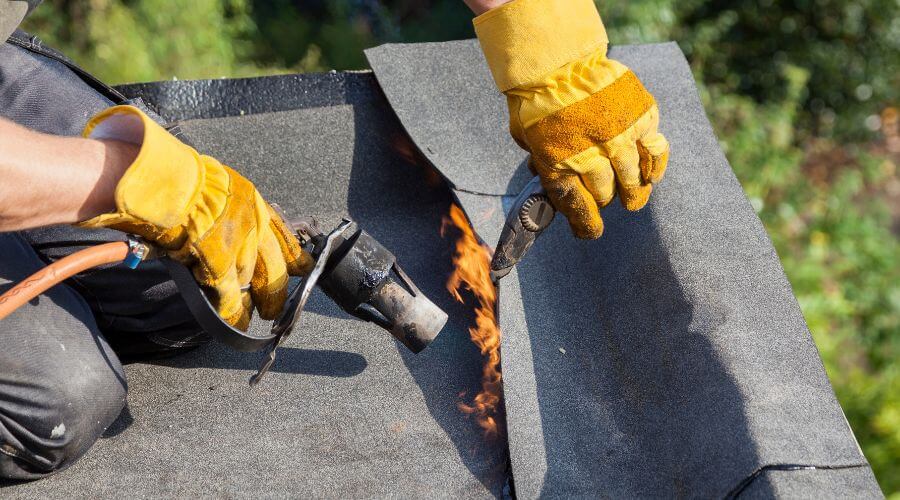 Local Siding Services in Bloomington Springs, TN